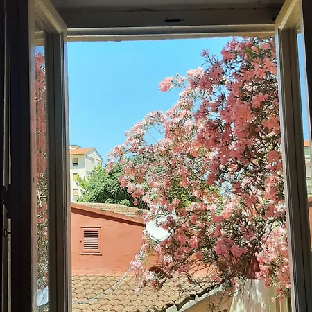 Appartamento Mary&flo House - A Due Passi Dal Centro - Free Private Parking Firenze